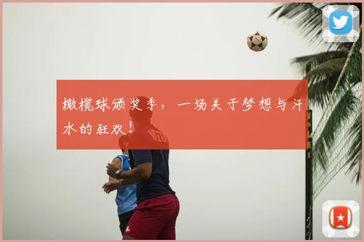 橄榄球颁奖季,一场关于梦想与汗水的狂欢!