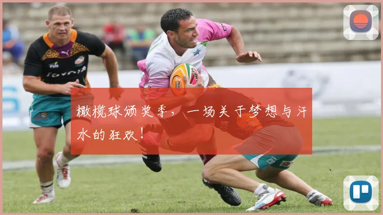 橄榄球颁奖季，一场关于梦想与汗水的狂欢！